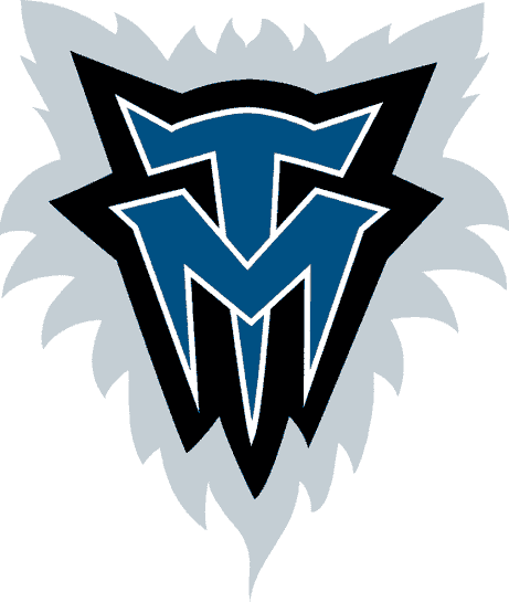 Minnesota Timberwolves 1996-2008 Alternate Logo fabric transfer version 2